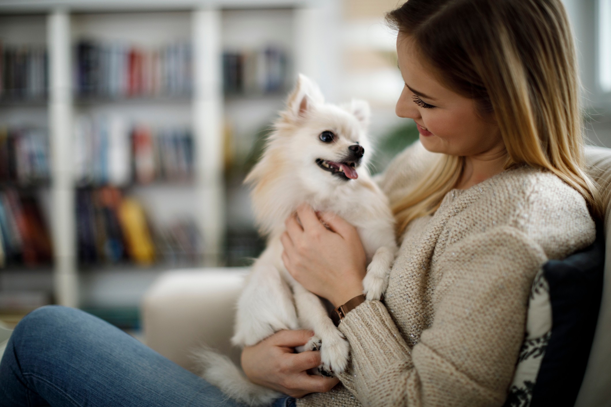 Paramount Terrace pet policy
